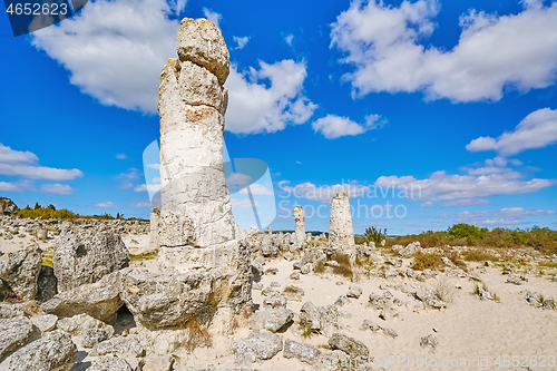 Image of The Stone Desert