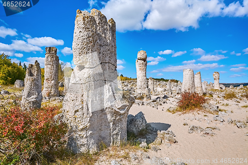 Image of The Stone Desert