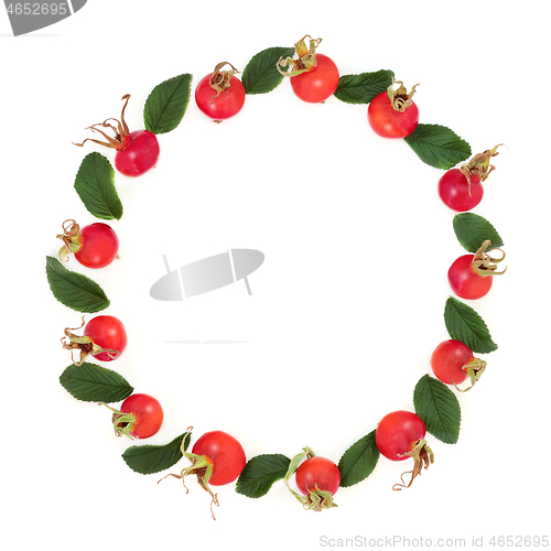 Image of Immune Boosting Abstract Rosehip Wreath 