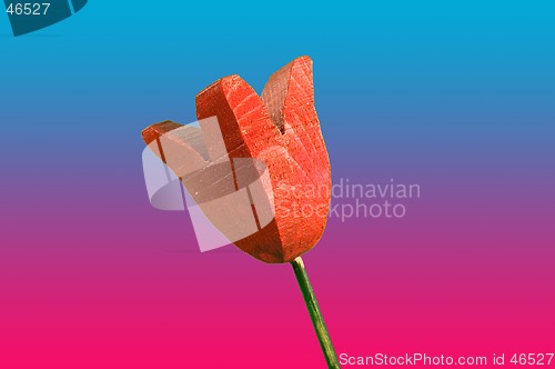 Image of Wooden Tulip