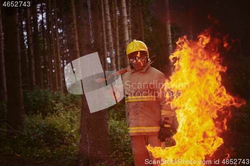 Image of firefighter portrait