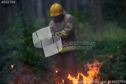 Image of firefighter in action