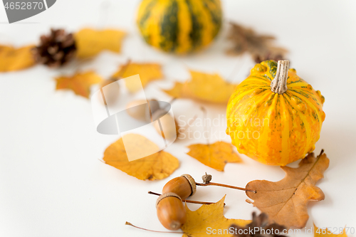 Image of close up of pumpkin, acorns and autumn leaves