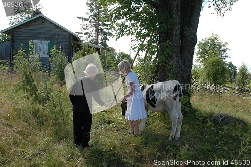 Image of Kids with cow