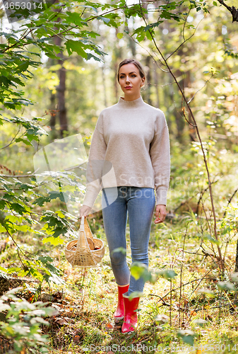 Image of woman with basket picking mushrooms in forest