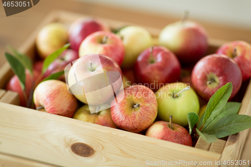 Image of ripe apples in wooden box on table