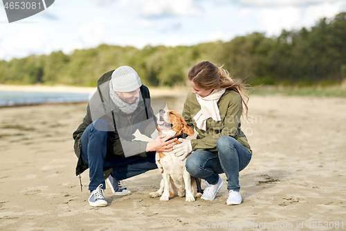 Image of happy couple with beagle dog on autumn beach