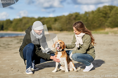 Image of happy couple with beagle dog on autumn beach