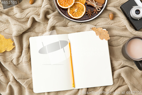 Image of notebook, hot chocolate, camera and autumn leaves