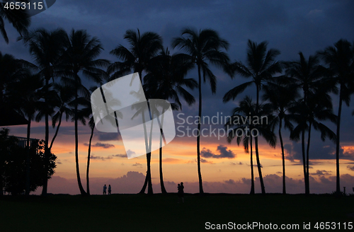 Image of Hawaii, USA, Sunset