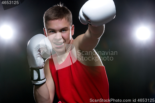 Image of Young boxer in red form