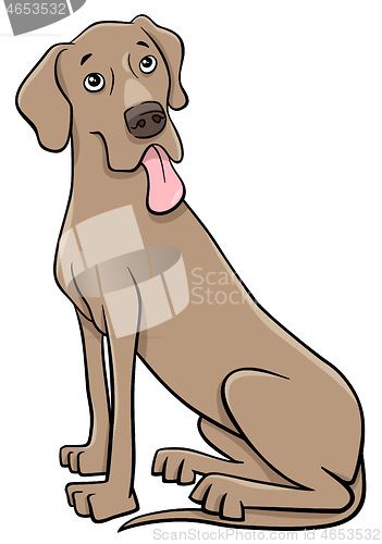 Image of great dane purebred dog