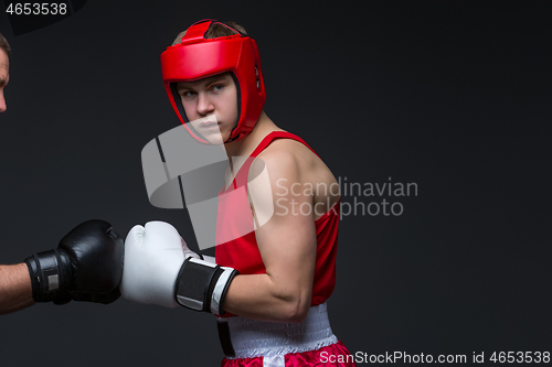 Image of Young boxer in red form