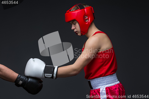 Image of Young boxer in red form