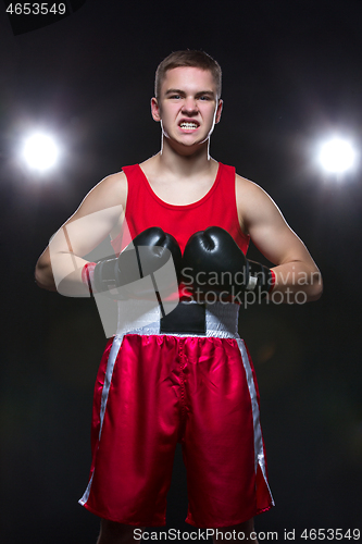 Image of Young boxer in red form