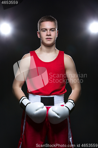 Image of Young boxer in red form