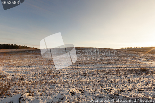 Image of Agricultural field covered by snow