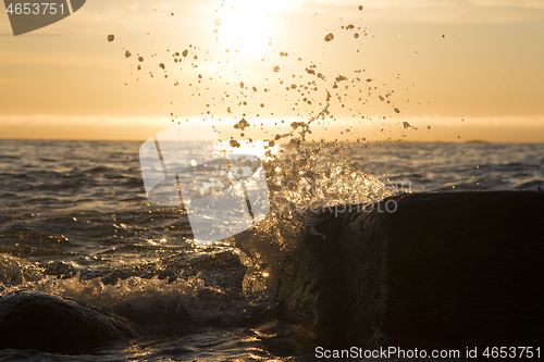 Image of 