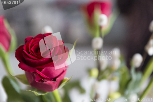 Image of Red Roses