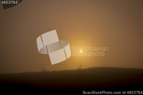 Image of 
