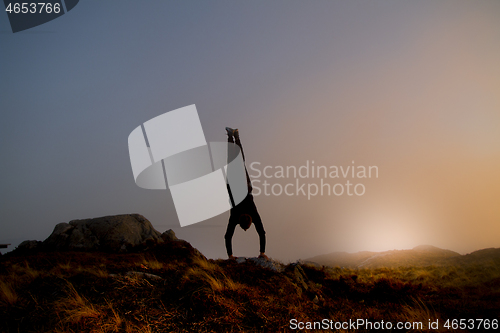Image of 