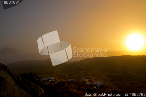 Image of 