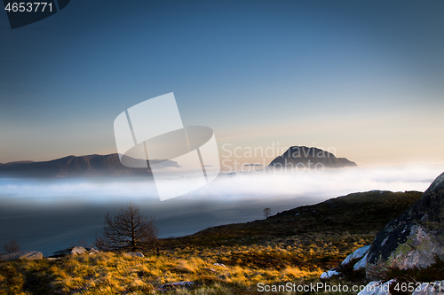 Image of 
