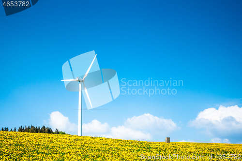 Image of a wind energy turbine in the dandelion meadow