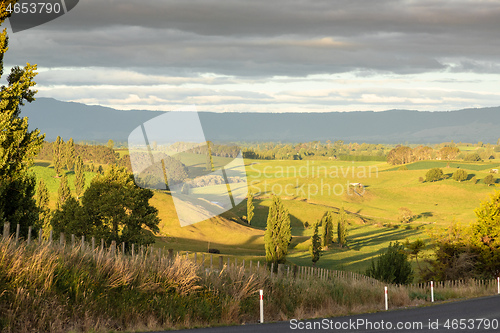 Image of typical rural landscape in New Zealand