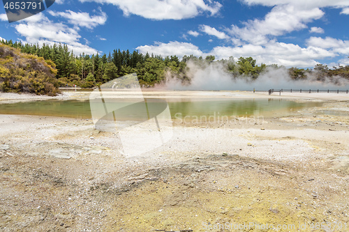 Image of geothermal activity at Rotorua in New Zealand