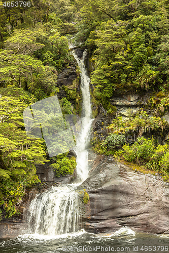 Image of Fiordland National Park New Zealand