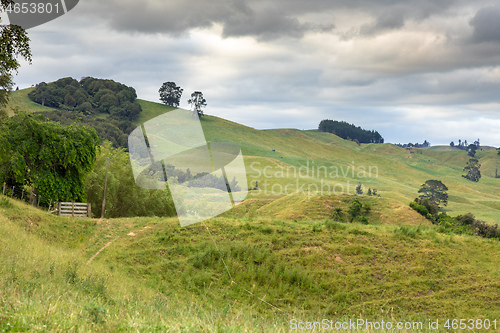 Image of typical rural landscape in New Zealand