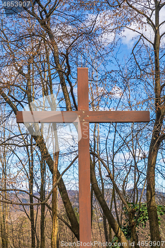 Image of Cross in Woods