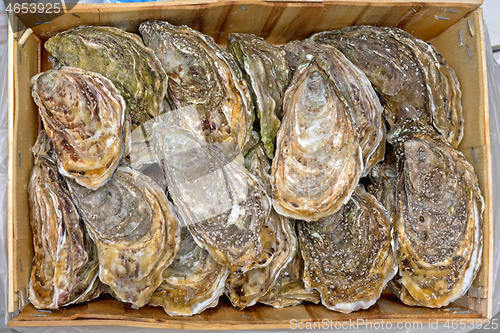 Image of Oysters Wooden Crate