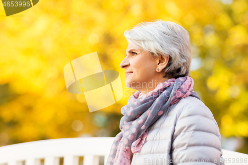 Image of portrait of happy senior woman at autumn park