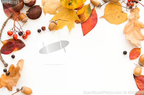 Image of autumn leaves, chestnuts, acorns and berries frame