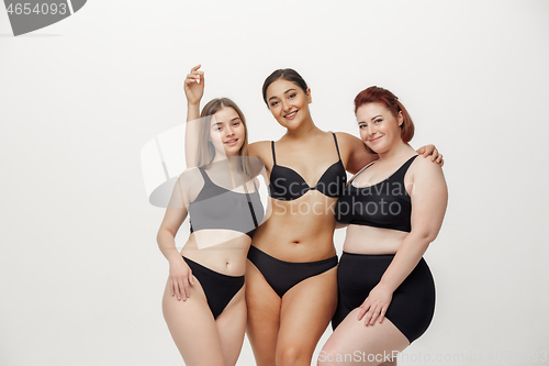 Image of Portrait of beautiful young women with different shapes posing on pink background