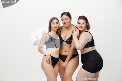 Image of Portrait of beautiful young women with different shapes posing on pink background