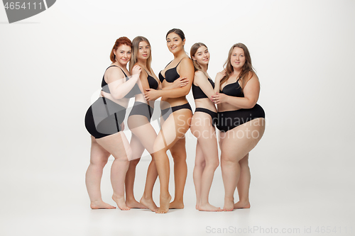 Image of Portrait of beautiful young women with different shapes posing on white background