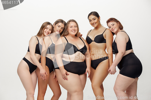 Image of Portrait of beautiful young women with different shapes posing on white background