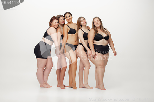 Image of Portrait of beautiful young women with different shapes posing on white background