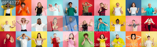 Image of Collage of portraits of young people on multicolored background