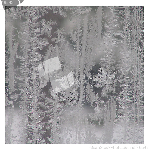 Image of Frosty Window