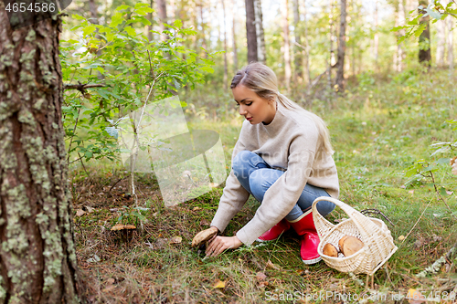 Image of young woman picking mushrooms in autumn forest