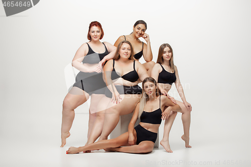Image of Portrait of beautiful young women with different shapes posing on white background