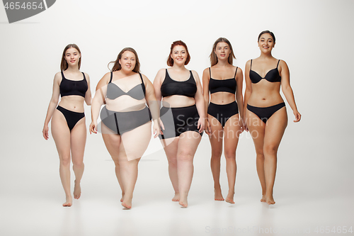 Image of Portrait of beautiful young women with different shapes posing on white background