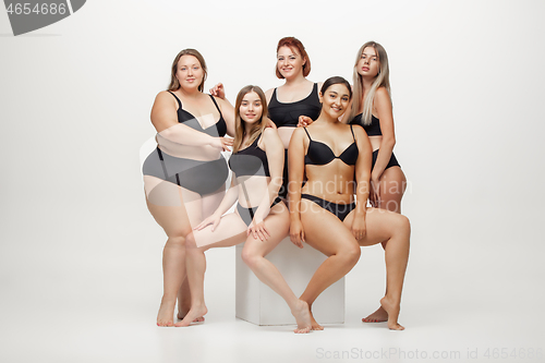 Image of Portrait of beautiful young women with different shapes posing on white background