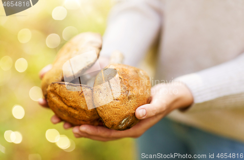 Image of close up of woman holding mushrooms in forest