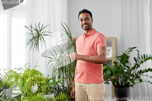 Image of indian man taking care of houseplants at home