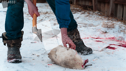 Image of Man cuts off the wings on the goose carcass winter